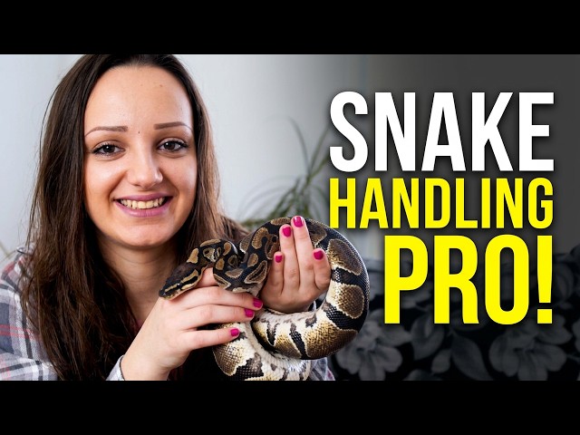 How Snake Owners Build Real Trust With Their Pets