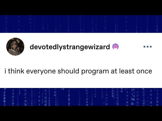 Everyone should program at least once