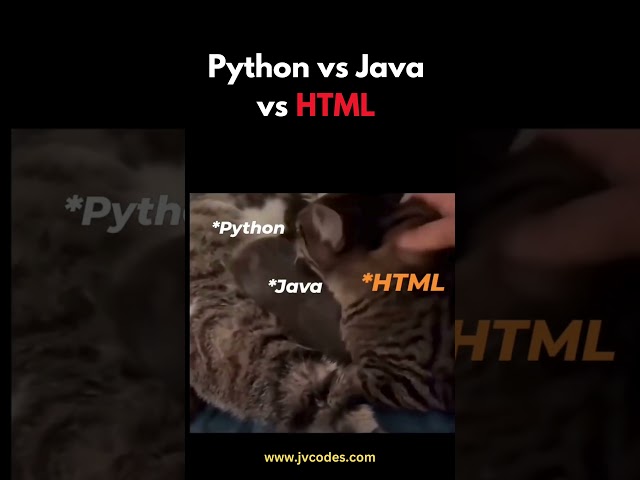 Python vs Java vs HTML #python #java #html #shorts