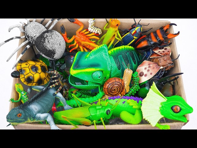 🦎toy asmr🦎 125 Minutes ZURU Robo Alive Insect ASMR | Chameleon, Lizard, Spider, Scopion, Turtle