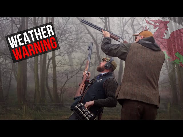 Partridge in the Welsh Fog - The Garth 2025