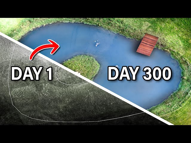 Building a MASSIVE Wildlife Pond! (Start to Finish)