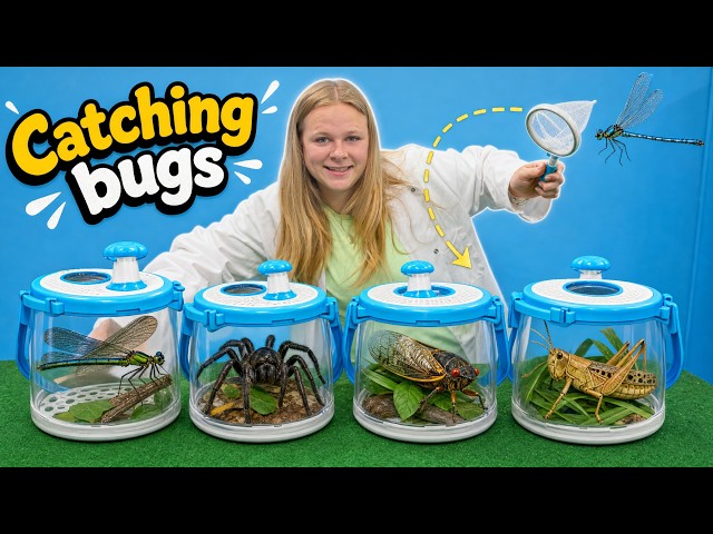 Giant Bug Hunt! Assistant tries catching Spiders, Cicadas & Grasshoppers!