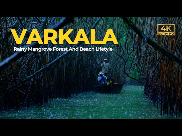 Varkala | Rainy Mangrove Forest | Beach | Nightlife | Monsoon Season