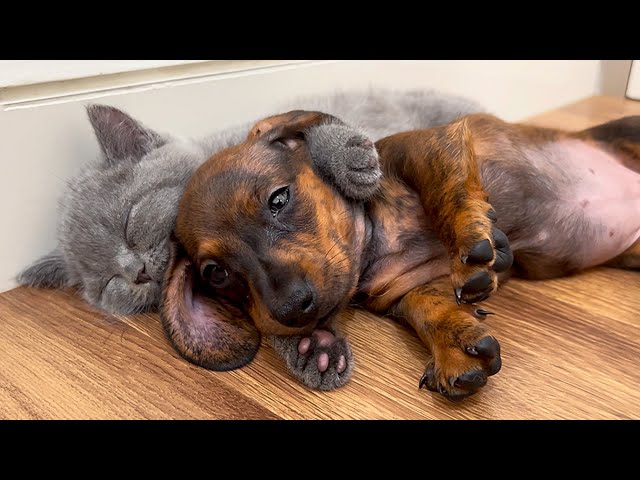 Can I Have a Hug?