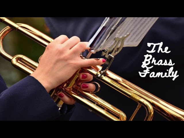 Introduction to the Instruments of the Orchestra