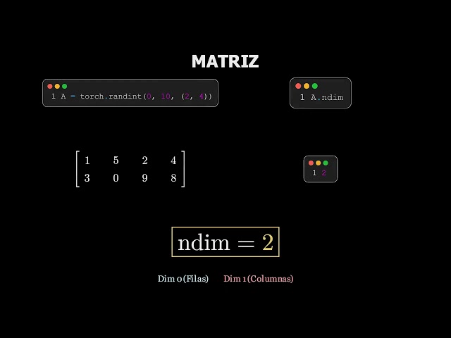 PyTorch Tensor ndim: 0D to 5D Visualized | Entiende A.ndim de 0D a 5D
