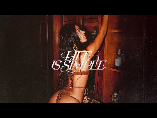 Maesic & Marshall Jefferson - Life Is Simple (Move Your Body) feat. Salomé Das (Visualizer) Helix