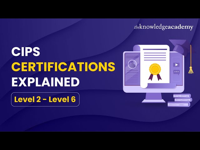 CIPS Certifications Explained: Everything You Need to Know from Level 2 to Level 6