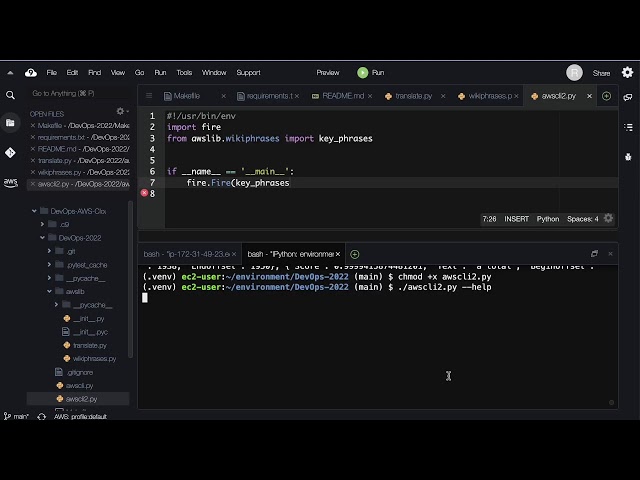 Build an AWS Boto3 tool with Python Fire  test it with CI/CD.