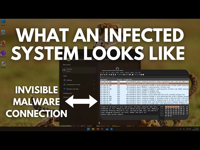 Malware of the Future: Network activity of an Infected System in 2025
