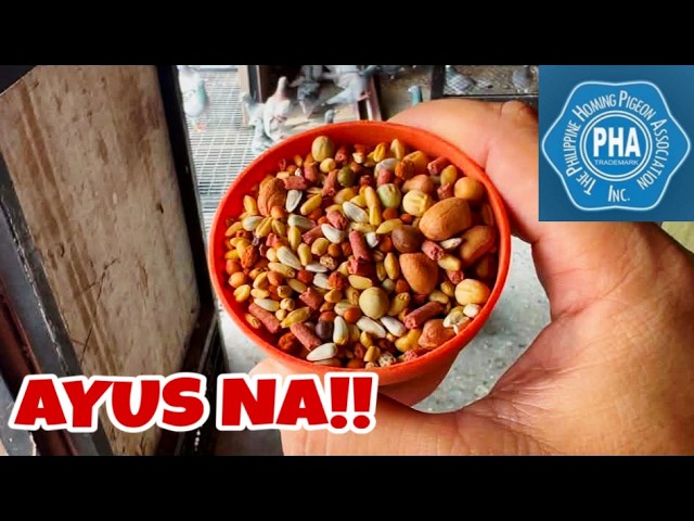 ABA NAGLAKASAN NA!!