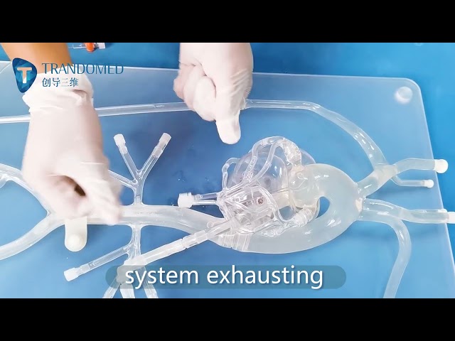Detachable Coronary Model