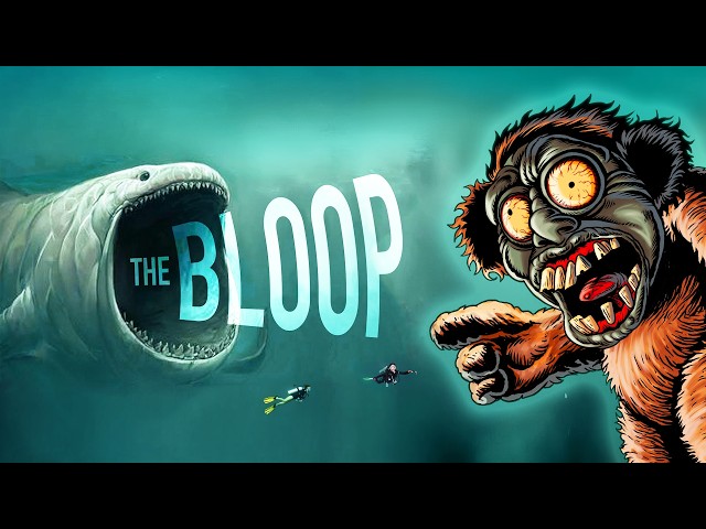 What is the Bloop?