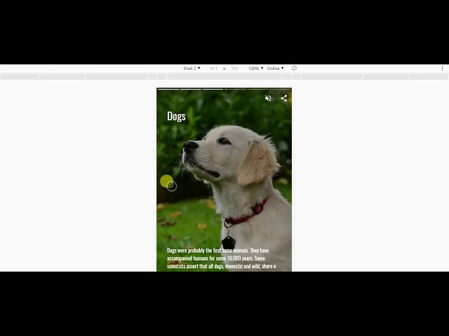 AMP Stories Sample: A visual storytelling format for the open web