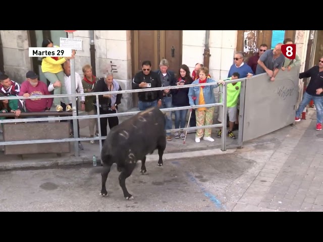 Tercer encierro de Cuéllar 29-08-2023