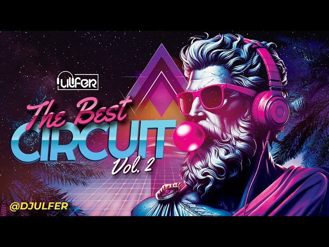 THE BEST CIRCUIT 2024 VOL.2 - DJ ULFER #circuit #tribal #2024