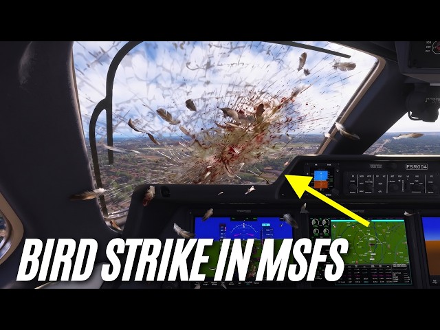 Finally: Bird STRIKES In Microsoft Flight Simulator