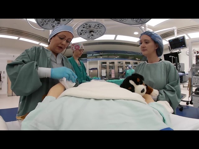 Hospital In Patient Experience