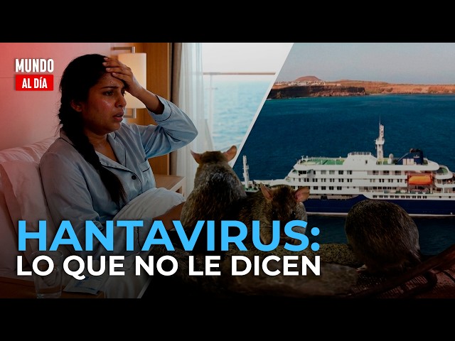 ¿Qué es el HANTAVIRUS y cómo se transmite? CONTAGIO Y LA VERDAD sobre el virus que alerta al mundo