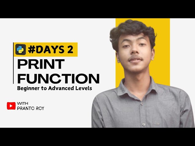 #2 Day, Python Input, Output & Print Function Tutorial for Beginners!