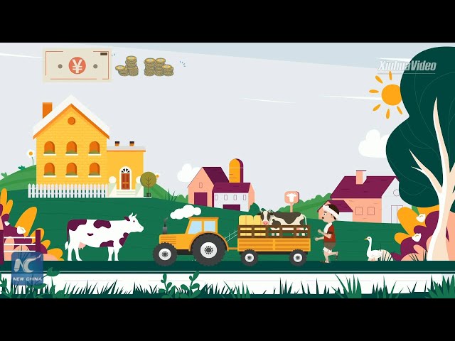 Poverty reduction: What does 2020 mean to China?