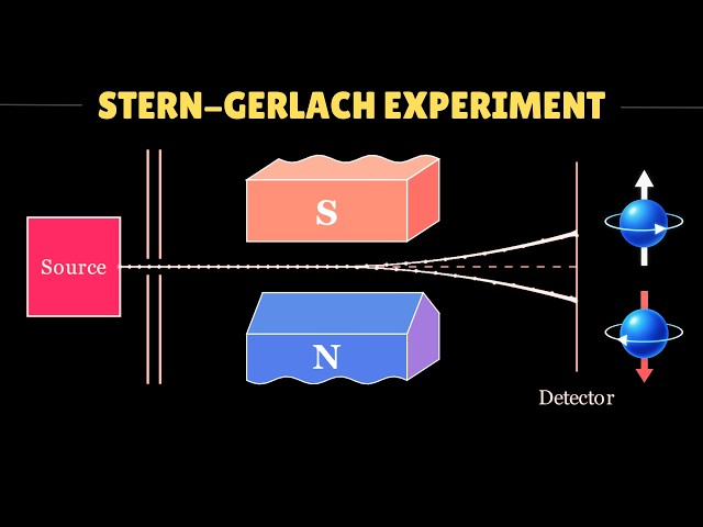 Stern-Gerlach Experiment: How It Revealed Electron Spin (Full Explanation)