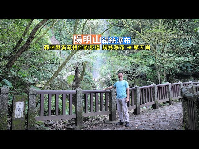 陽明山絹絲瀑布步道全程有茂密的森林所覆蓋，沿途又有溪流帶來的水讓你冰涼舒暢