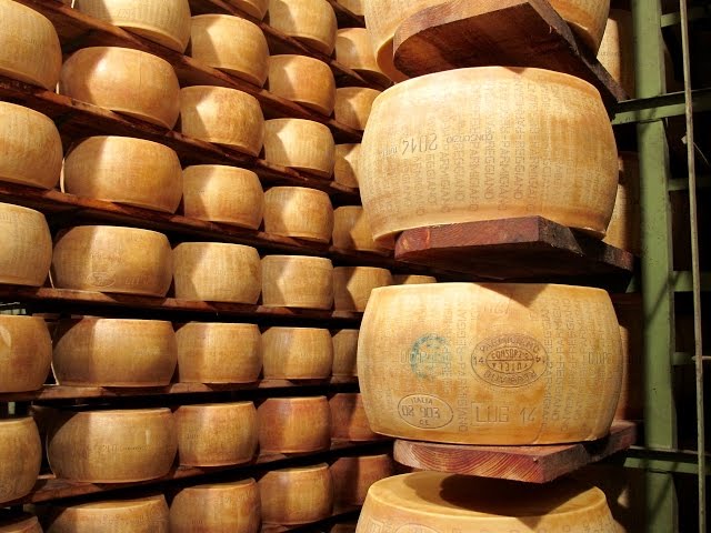 Parmesan Cheese making