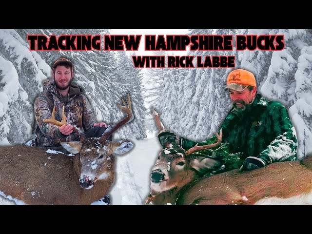 Tracking Mature Bucks in New Hampshire with Rick Labbe and Levi Murray: Two Bucks Down!!!