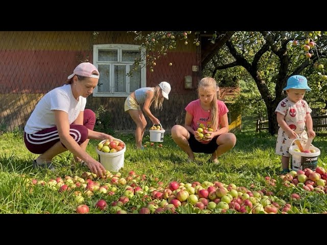 Cozy Life in the Carpathian Mountains: Mowing, Tractor Work, Canning & Kids