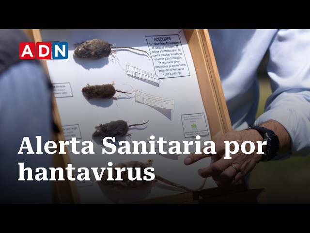 Ministry of Health declares Hantavirus health alert for the first time: 48 cases reported