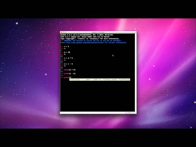 Python - Variables and Data Types (Lesson 1)