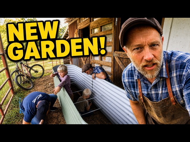 Finally Trying (pre-made) Raised Beds
