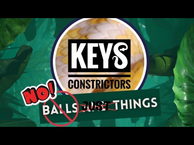 No Balls Just Things featuring @pressurepythons and our guests @TRIPLE6SERPENTS 