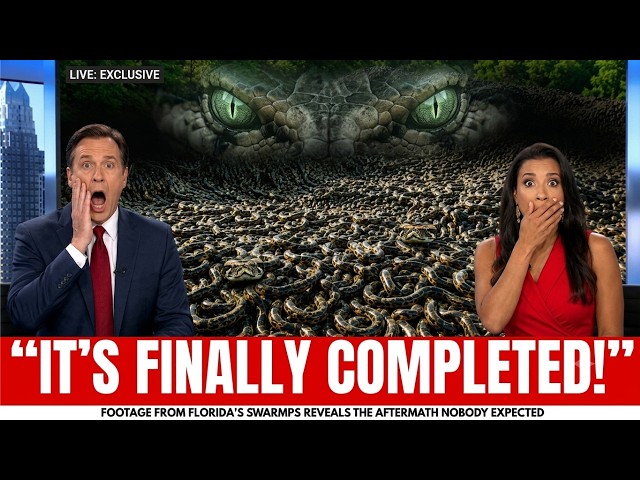 "New Footage From Florida's Swamps Reveals an Aftermath Nobody the Expected"