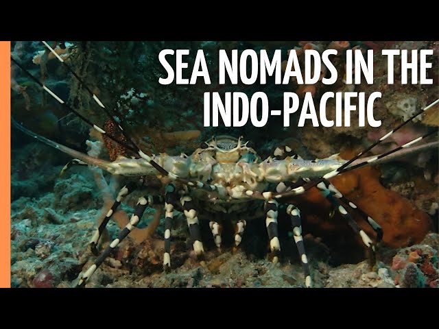 Sea nomads in the Indo-Pacific | Full Documentary