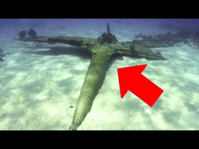The First plane to Target Pearl Harbor