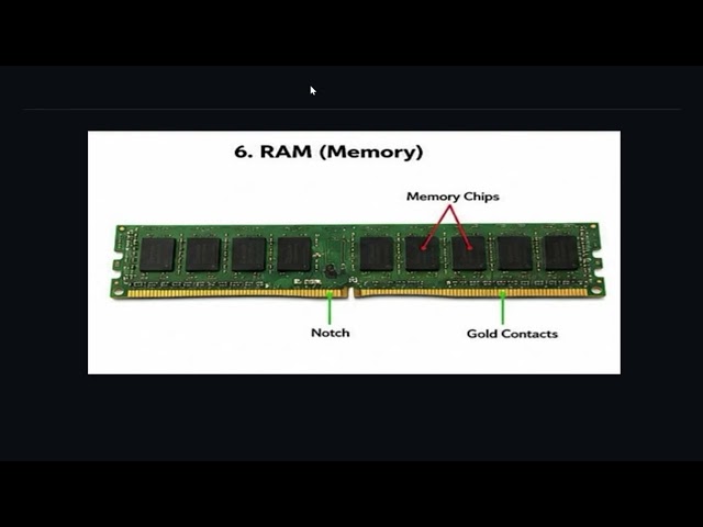 Computer Tools name with images & Their Functions | Computer Basics for Beginners | 2N Classes