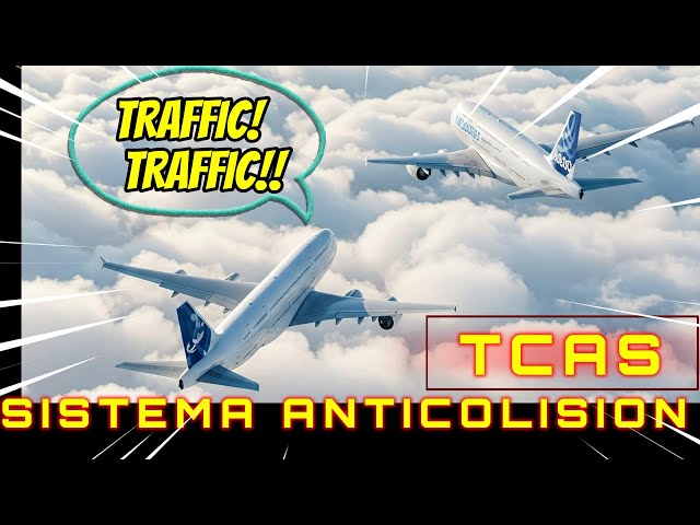 TCAS Anti-Collision System