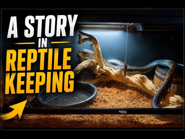 A Story in Reptile Keeping
