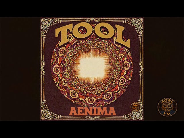 Aenima - Tool (1960's AI Soul Cover)