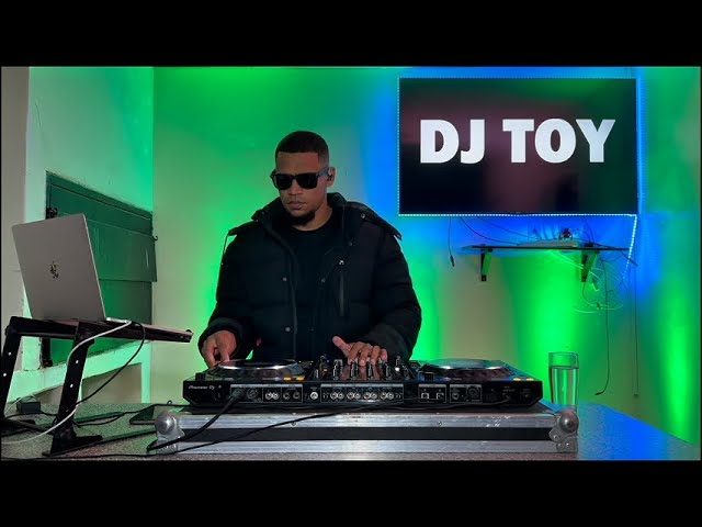 DJ TOY - Winter Live Mix (3step)2025
