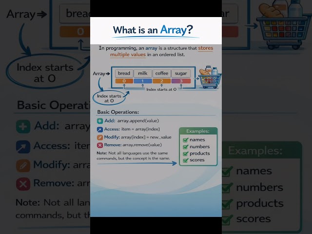 Everything About Array | Programming
