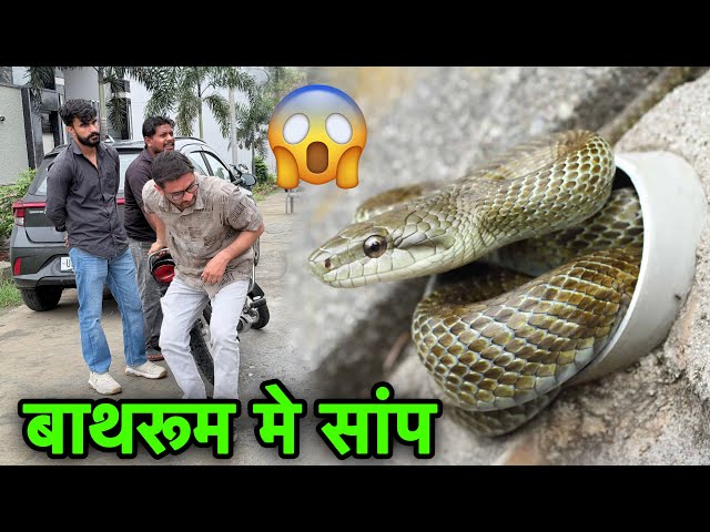 When this snake entered the bathroom inside the room, people did something like this 😯 Rat Snake ...