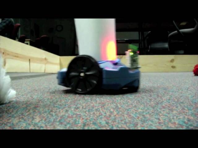 IM 115 - Jungle Race - Grace Pisula and Zach Dalin