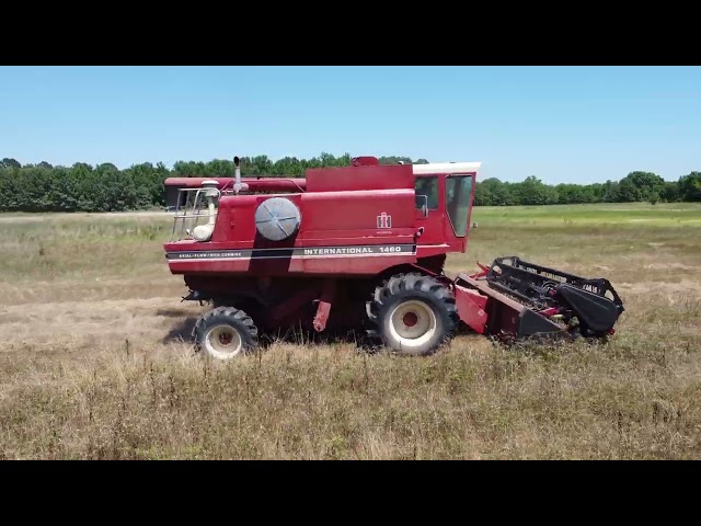 The Story of Billy McGee