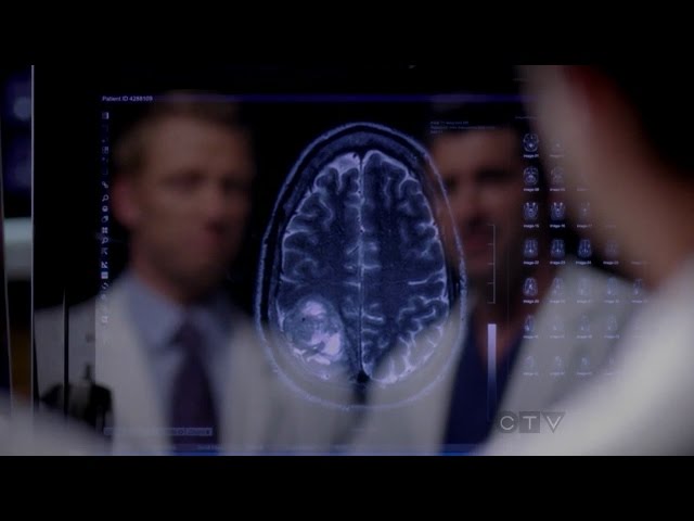 Grey's Anatomy - Derek Shepherd Story