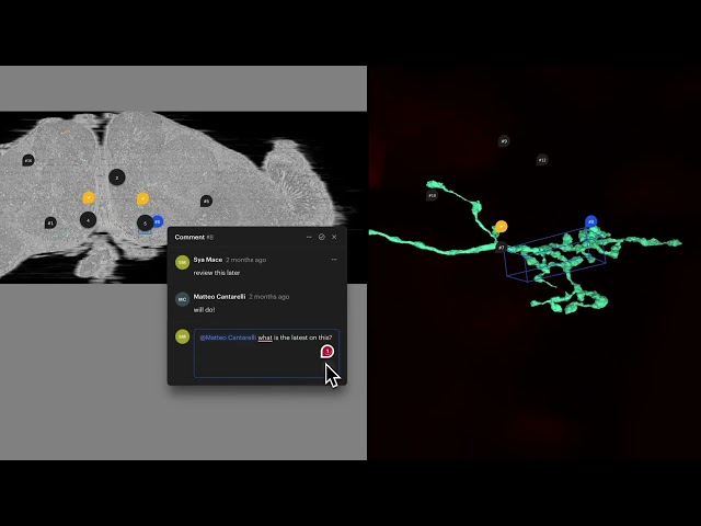NeuroGlass: Comments product video