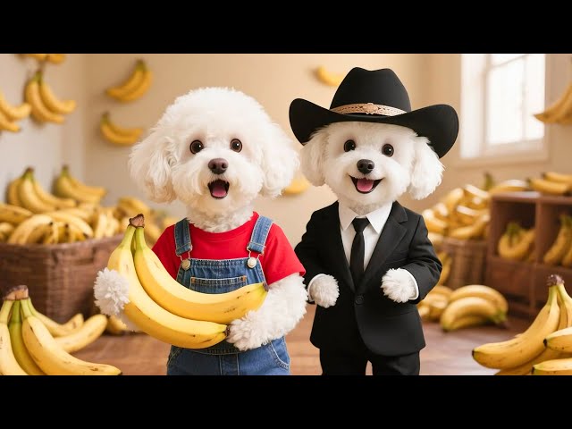 개 엄마와 강아지 깜짝 놀람 : 슈퍼마켓에서 바나나 세일을 막 샀는데 할아버지가 바나나 한 트럭을 보내오다